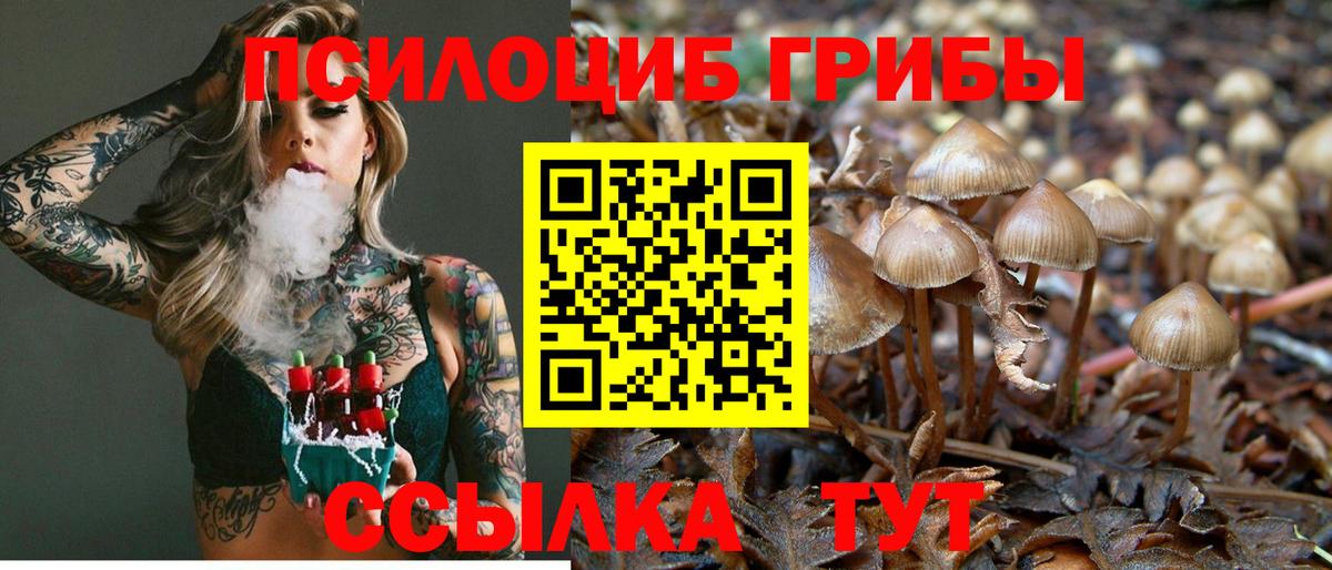Вязники  Галлюциногенные грибы прущие грибы  Галлюциногенные грибы Psilocybe  закладки  Вход с VPN 