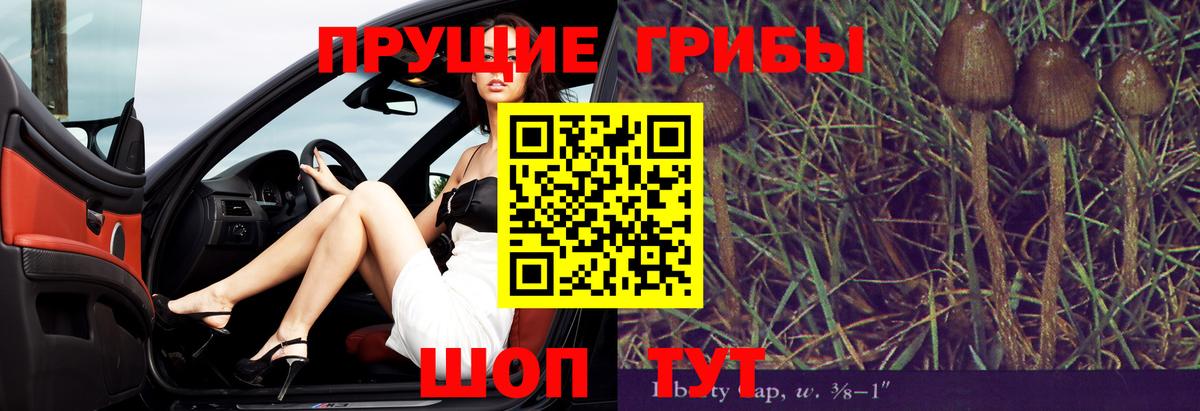 Псилоцибиновые грибы ЛСД Вязники